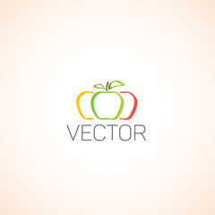 Vector bright flat line fruits.