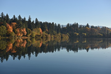 Obraz premium landscape