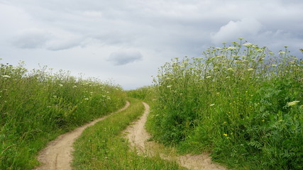 Field road