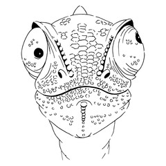 Chameleon graphic linear vector sketch