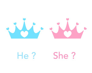 Crown. Baby gender reveal party. Pink and blue crown background © Gulsen Gunel