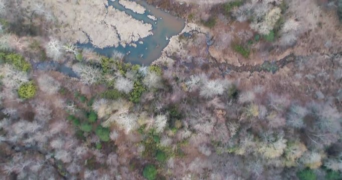 Aerial drone footage over a forest swamp