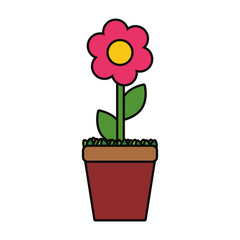  colorful flowerpot over white background  vector illustration
