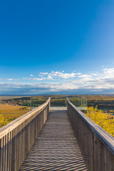 Obraz premium Observation Platform Eisenberg Burgenland Austria In Autumn