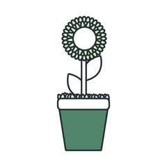 flat  line  colored flowerpot over white background  vector illustration