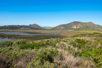 Elfin Forest in Los Osos, Morro Bay State Marine Reserve, Morro Bay, San Luis Obispo County Parks, California, USA