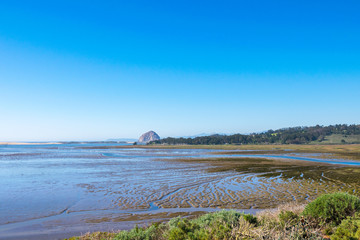 Elfin Forest in Los Osos, Morro Bay State Marine Reserve, Morro Bay, San Luis Obispo County Parks, California, USA