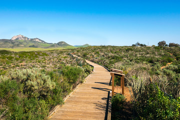 Elfin Forest in Los Osos, Morro Bay State Marine Reserve, Morro Bay, San Luis Obispo County Parks, California, USA