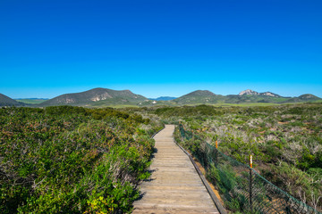 Elfin Forest in Los Osos, Morro Bay State Marine Reserve, Morro Bay, San Luis Obispo County Parks, California, USA