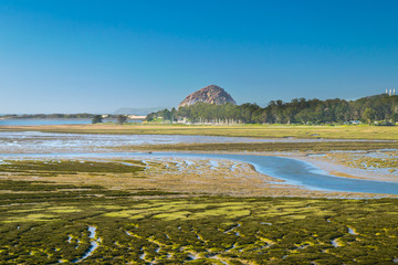 Elfin Forest in Los Osos, Morro Bay State Marine Reserve, Morro Bay, San Luis Obispo County Parks,...
