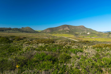 Elfin Forest in Los Osos, Morro Bay State Marine Reserve, Morro Bay, San Luis Obispo County Parks, California, USA