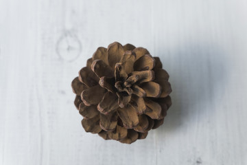 Pine cones on white wooden background