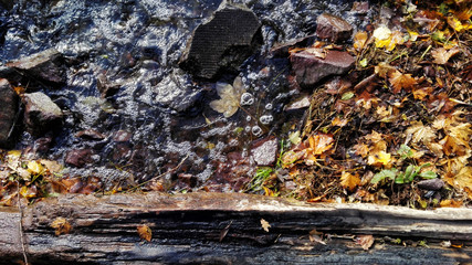 Herbst Hintergrund