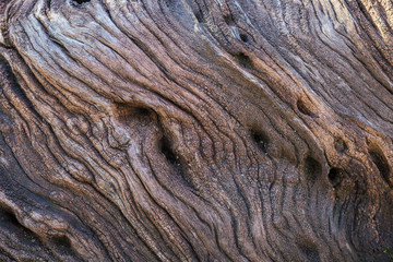 Wood background ,abstract detail