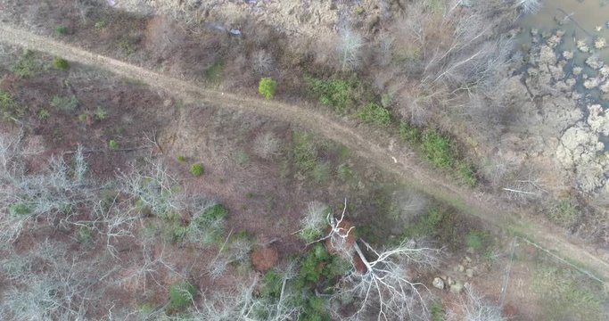 Aerial Drone footage over a forest in the mountains