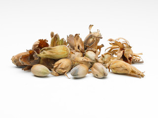 Cob Nuts