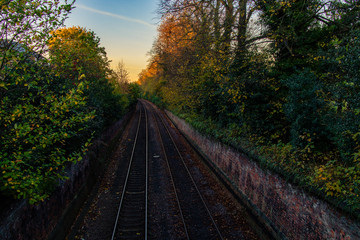 Obraz premium An empty railway lined with trees.