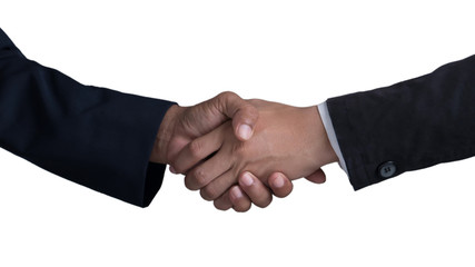 Fototapeta na wymiar handshake of business partners