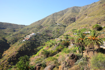 Fototapeta na wymiar The valley near Masca village on Tenerife Island, Canary Islands, Spain
