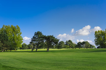 Fototapeta premium General view of a green golf course on a bright sunny day. Idyllic summer landscape. Sport, relax, recreation and leisure concept