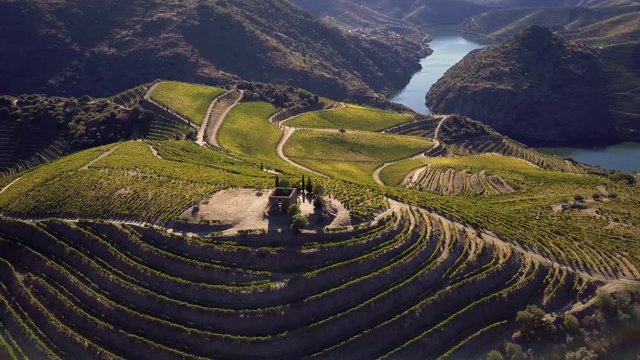 Aerial shot Alto Douro Wine Region, Douro, Portugal