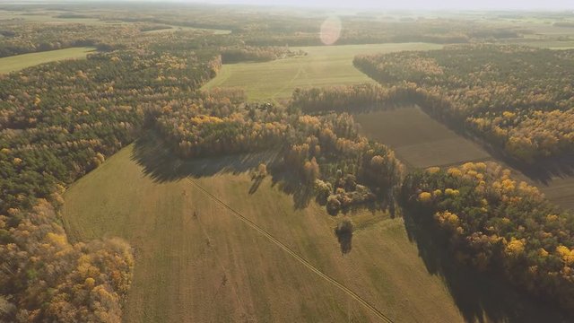 Autumn forest and field with a bird's-eye view and in sunny weather. Autumn golden forest. Multicolored paints. Russia.
