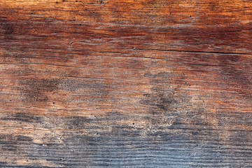 Obraz premium Wood texture. Wooden wallpaper.