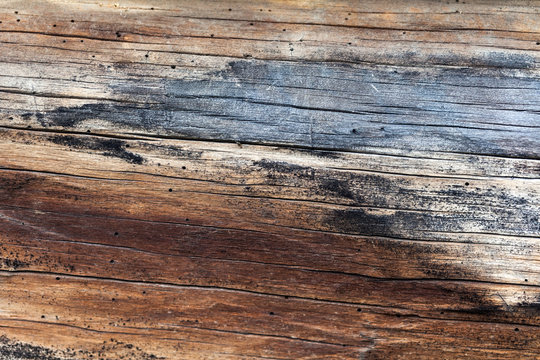 Old colorful wood texture background.
