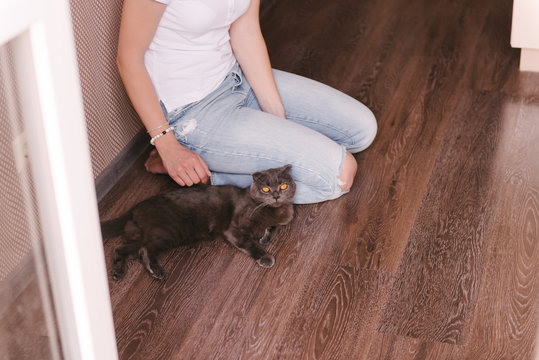 Happy, young woman sitting on the floor at home, playing with her cute cat. Enjoying free time with pet. The British short-hair