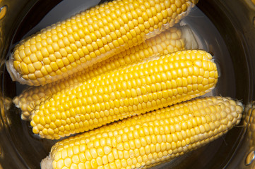 Corn in the cobs boiling in the water