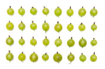 Gooseberry isolated on the white background