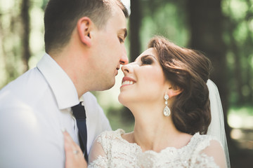 Fototapeta premium Romantic, fairytale, happy newlywed couple hugging and kissing in a park, trees in background