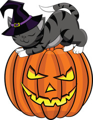 Векторное изображение к празднику Хэллоуин. Котенок на тыкве
