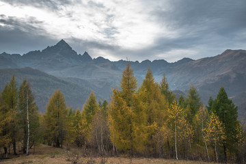 Monviso, Ostana, Cuneo