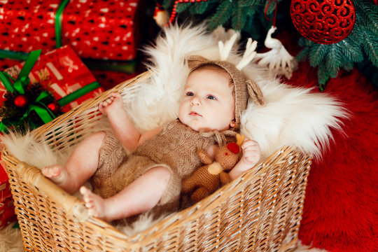 Funny little baby in deer suit lies in a basket before a Christmas tree