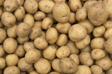 raw organic potato good agricultural product