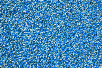 abstract background of blue corn