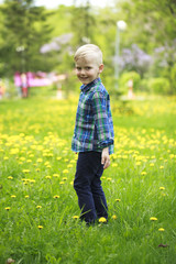 Portrait of a young blonde boy