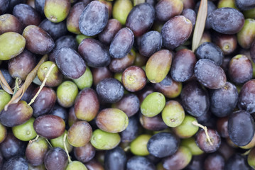 olives