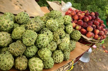 Marché aux fruits et légumes de Chengalpattu (Tamil Nadu-Inde)