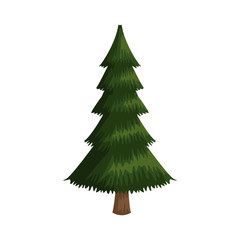 Tree nature symbol icon vector illustration graphic design