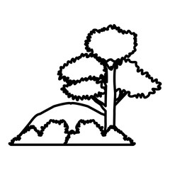Trees and bushes icon vector illustration graphic design