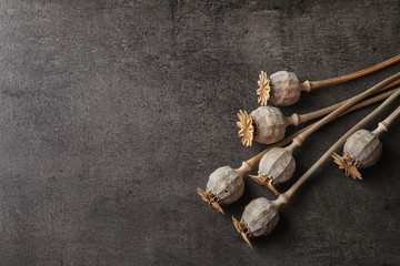 Dried poppy heads on table