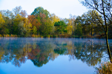 Fototapeta na wymiar Herbstliche Rheinauen