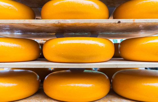 Large yellow rounds of gouda cheese closeup on shelves ready for market.