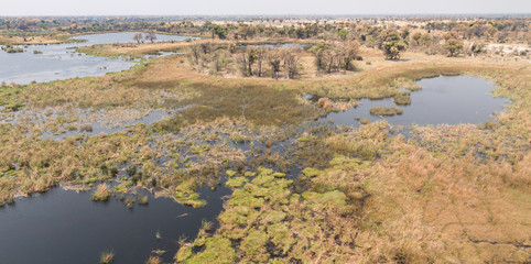 Okavango Delta (Botswana)