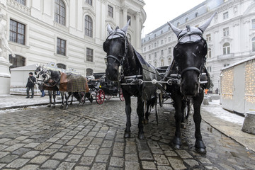 Streets of Vienna, Austria