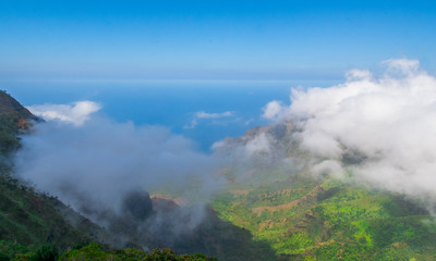 Hawaiian Landscape