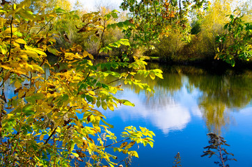 Bunte Rheinauen im Ried