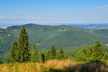 Summer mountain landscape. Beautiful green hills on a sunny day.